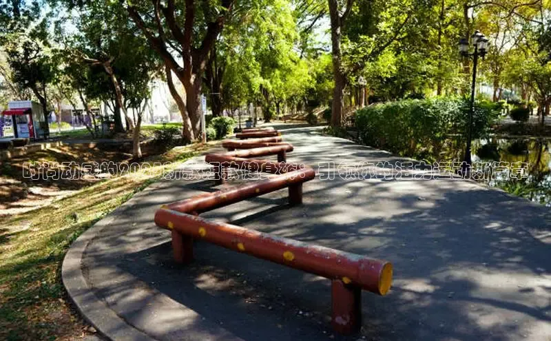 天生赢家凯发一触即发小说