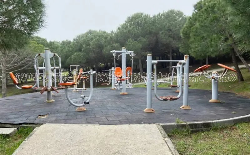 天生赢家凯发一触即发小说