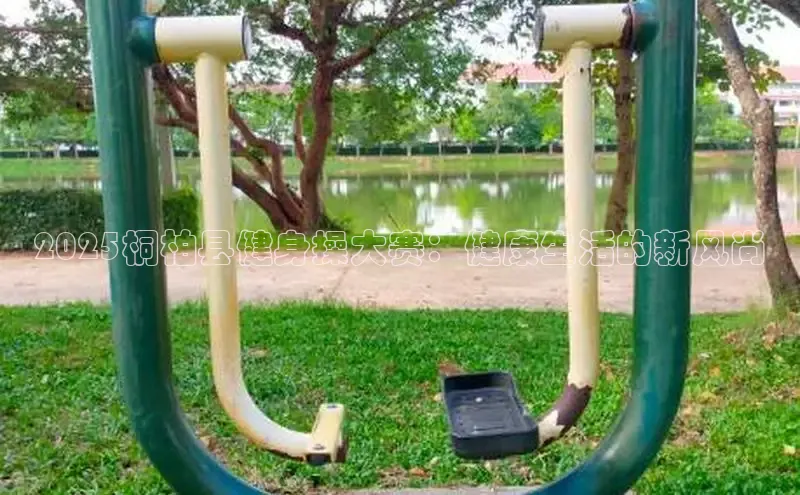 天生赢家凯发一触即发小说